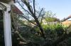 Baum02