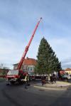 Christbaum_2014_09